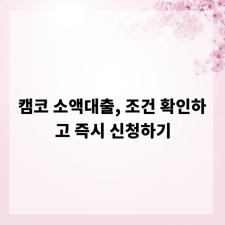 캠코 소액대출, 조건 확인하고 즉시 신청하기