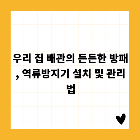 우리 집 배관의 든든한 방패, 역류방지기 설치 및 관리법