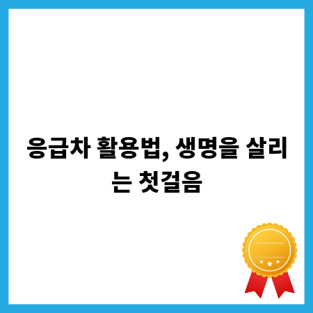 응급차 활용법, 생명을 살리는 첫걸음