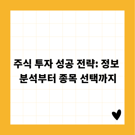 주식 투자 성공 전략: 정보 분석부터 종목 선택까지