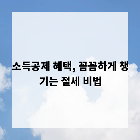 소득공제 혜택, 꼼꼼하게 챙기는 절세 비법