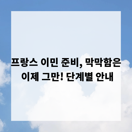 프랑스 이민 준비, 막막함은 이제 그만! 단계별 안내