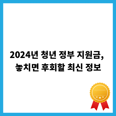 2024년 청년 정부 지원금, 놓치면 후회할 최신 정보
