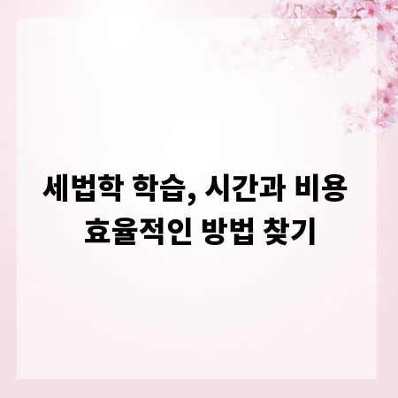 세법학 학습, 시간과 비용 효율적인 방법 찾기