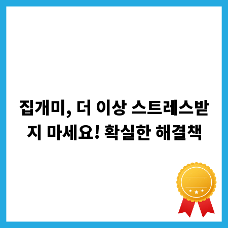 집개미, 더 이상 스트레스받지 마세요! 확실한 해결책