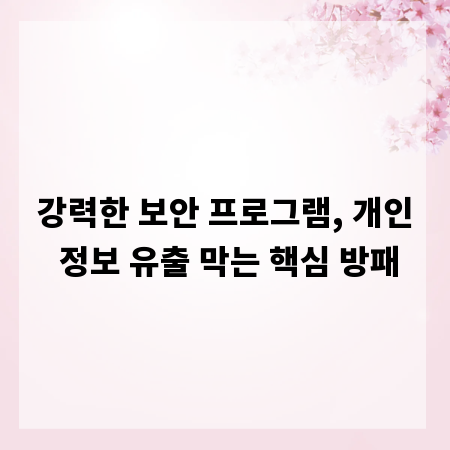 강력한 보안 프로그램, 개인 정보 유출 막는 핵심 방패