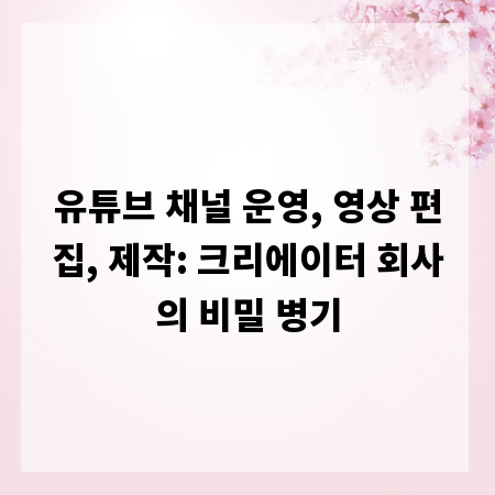 유튜브 채널 운영, 영상 편집, 제작: 크리에이터 회사의 비밀 병기