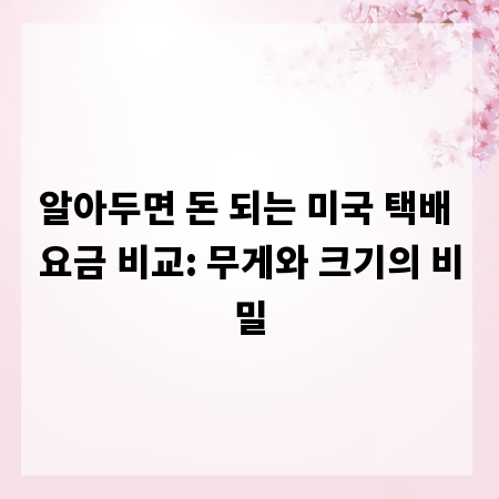 알아두면 돈 되는 미국 택배 요금 비교: 무게와 크기의 비밀