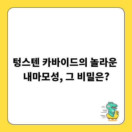 텅스텐 카바이드의 놀라운 내마모성, 그 비밀은?