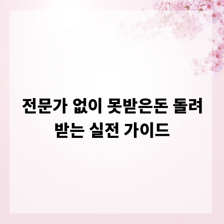 전문가 없이 못받은돈 돌려받는 실전 가이드