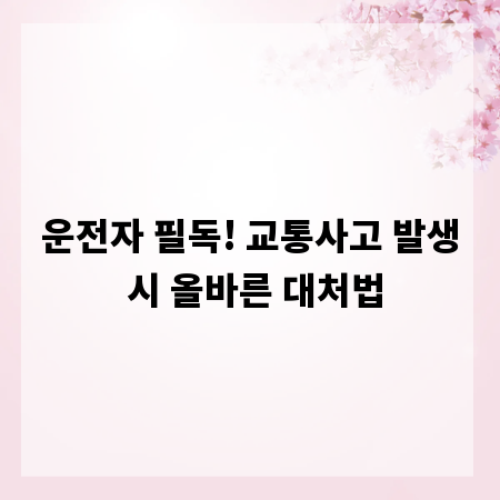 운전자 필독! 교통사고 발생 시 올바른 대처법