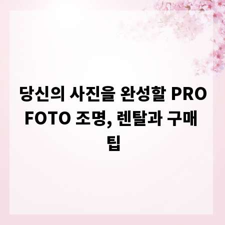 당신의 사진을 완성할 PROFOTO 조명, 렌탈과 구매 팁