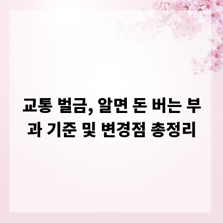 교통 벌금, 알면 돈 버는 부과 기준 및 변경점 총정리