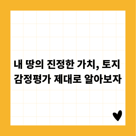 내 땅의 진정한 가치, 토지 감정평가 제대로 알아보자