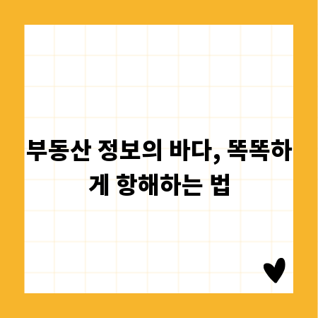 부동산 정보의 바다, 똑똑하게 항해하는 법