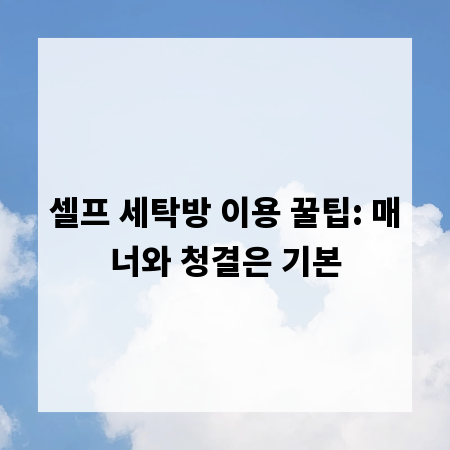 셀프 세탁방 이용 꿀팁: 매너와 청결은 기본