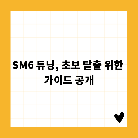 SM6 튜닝, 초보 탈출 위한 가이드 공개