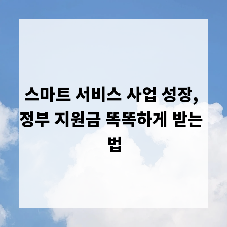 스마트 서비스 사업 성장, 정부 지원금 똑똑하게 받는 법