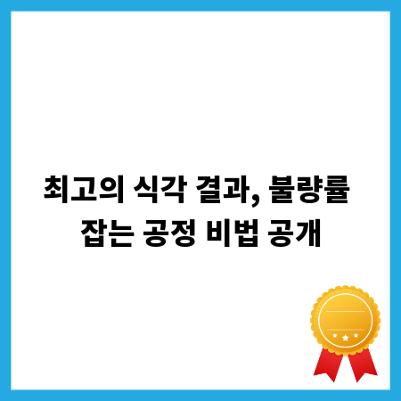 최고의 식각 결과, 불량률 잡는 공정 비법 공개
