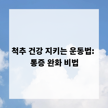 척추 건강 지키는 운동법: 통증 완화 비법