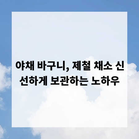야채 바구니, 제철 채소 신선하게 보관하는 노하우