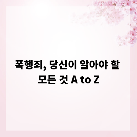 폭행죄, 당신이 알아야 할 모든 것 A to Z