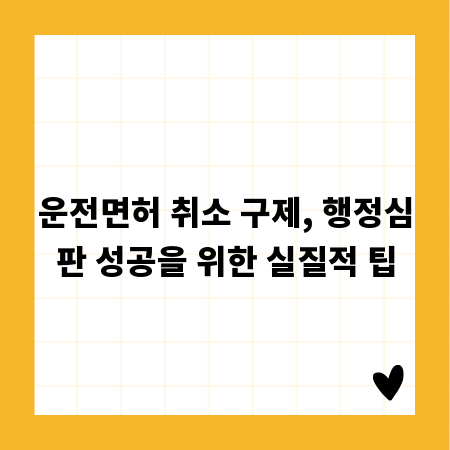 운전면허 취소 구제, 행정심판 성공을 위한 실질적 팁