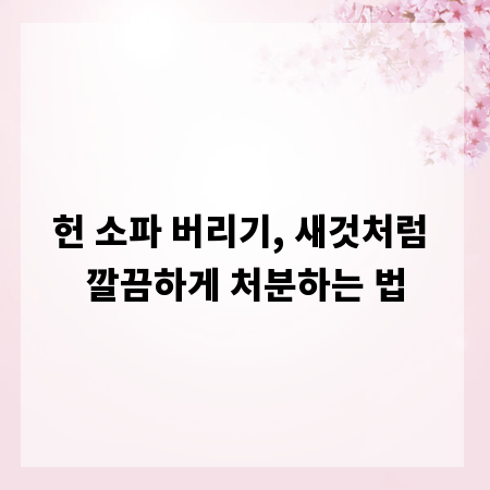 헌 소파 버리기, 새것처럼 깔끔하게 처분하는 법