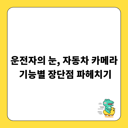 운전자의 눈, 자동차 카메라 기능별 장단점 파헤치기