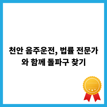 천안 음주운전, 법률 전문가와 함께 돌파구 찾기