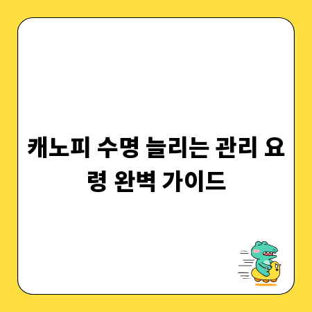 캐노피 수명 늘리는 관리 요령 완벽 가이드
