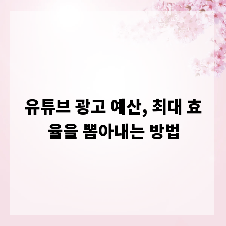 유튜브 광고 예산, 최대 효율을 뽑아내는 방법
