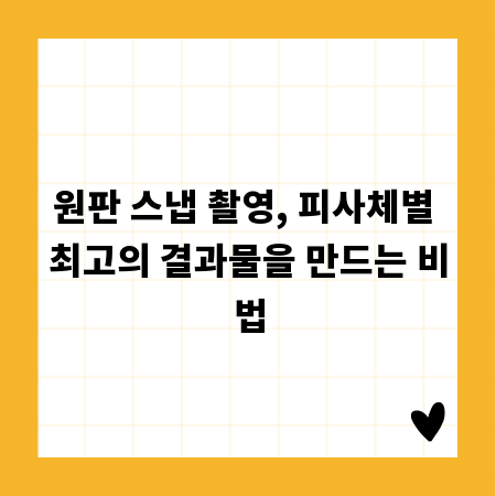 원판 스냅 촬영, 피사체별 최고의 결과물을 만드는 비법