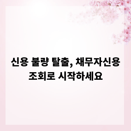 신용 불량 탈출, 채무자신용조회로 시작하세요