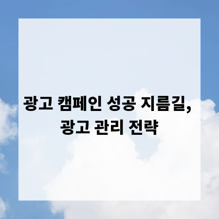 광고 캠페인 성공 지름길, 광고 관리 전략