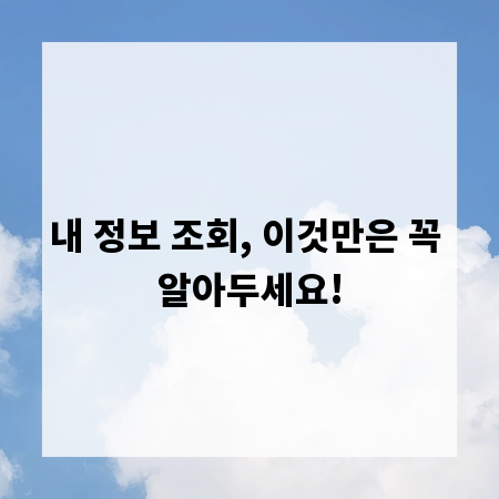 내 정보 조회, 이것만은 꼭 알아두세요!