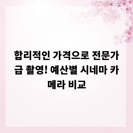 합리적인 가격으로 전문가급 촬영! 예산별 시네마 카메라 비교