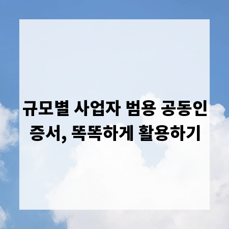규모별 사업자 범용 공동인증서, 똑똑하게 활용하기