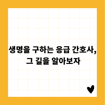 생명을 구하는 응급 간호사, 그 길을 알아보자