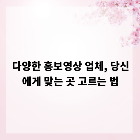 다양한 홍보영상 업체, 당신에게 맞는 곳 고르는 법
