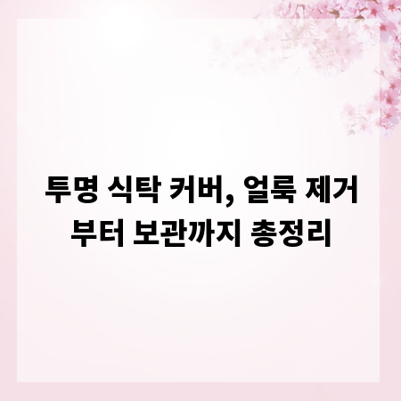 투명 식탁 커버, 얼룩 제거부터 보관까지 총정리