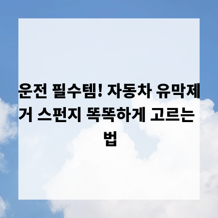 운전 필수템! 자동차 유막제거 스펀지 똑똑하게 고르는 법