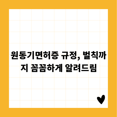 원동기면허증 규정, 벌칙까지 꼼꼼하게 알려드림