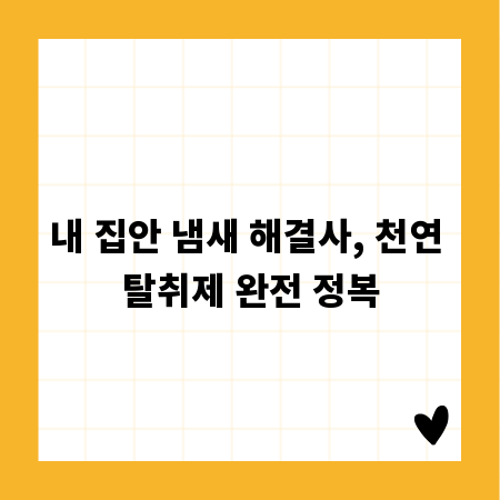 내 집안 냄새 해결사, 천연 탈취제 완전 정복