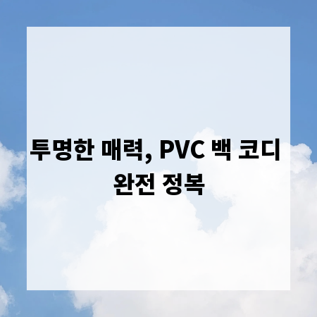 투명한 매력, PVC 백 코디 완전 정복