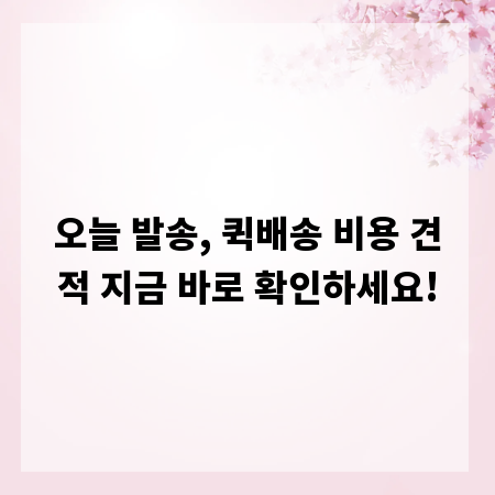 오늘 발송, 퀵배송 비용 견적 지금 바로 확인하세요!