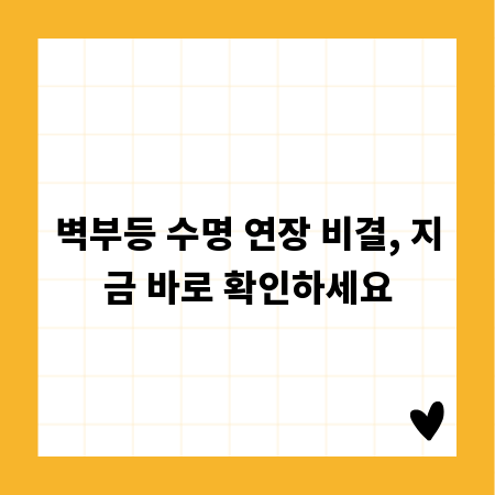 벽부등 수명 연장 비결, 지금 바로 확인하세요