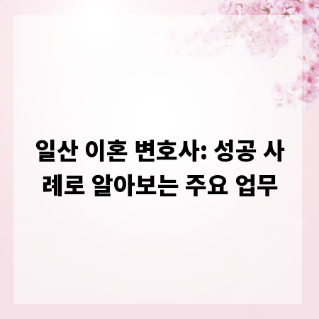 일산 이혼 변호사: 성공 사례로 알아보는 주요 업무