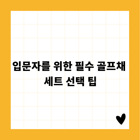 입문자를 위한 필수 골프채 세트 선택 팁