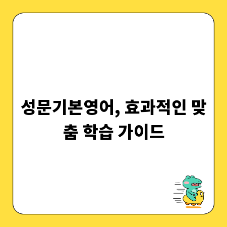 성문기본영어, 효과적인 맞춤 학습 가이드